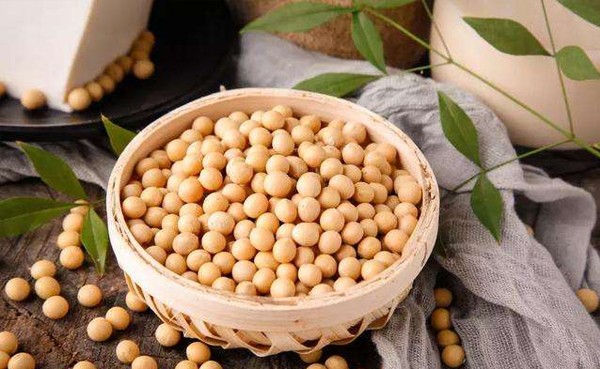 俾斯麦大豆磷脂软胶囊有哪些注意事项